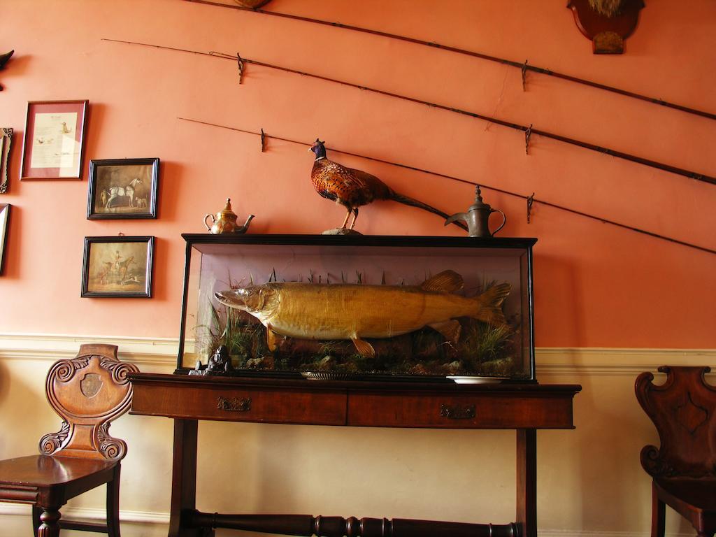Hotel Enniscoe House Crossmolina Esterno foto